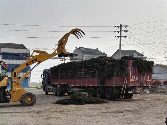 苏州中国花卉植物园